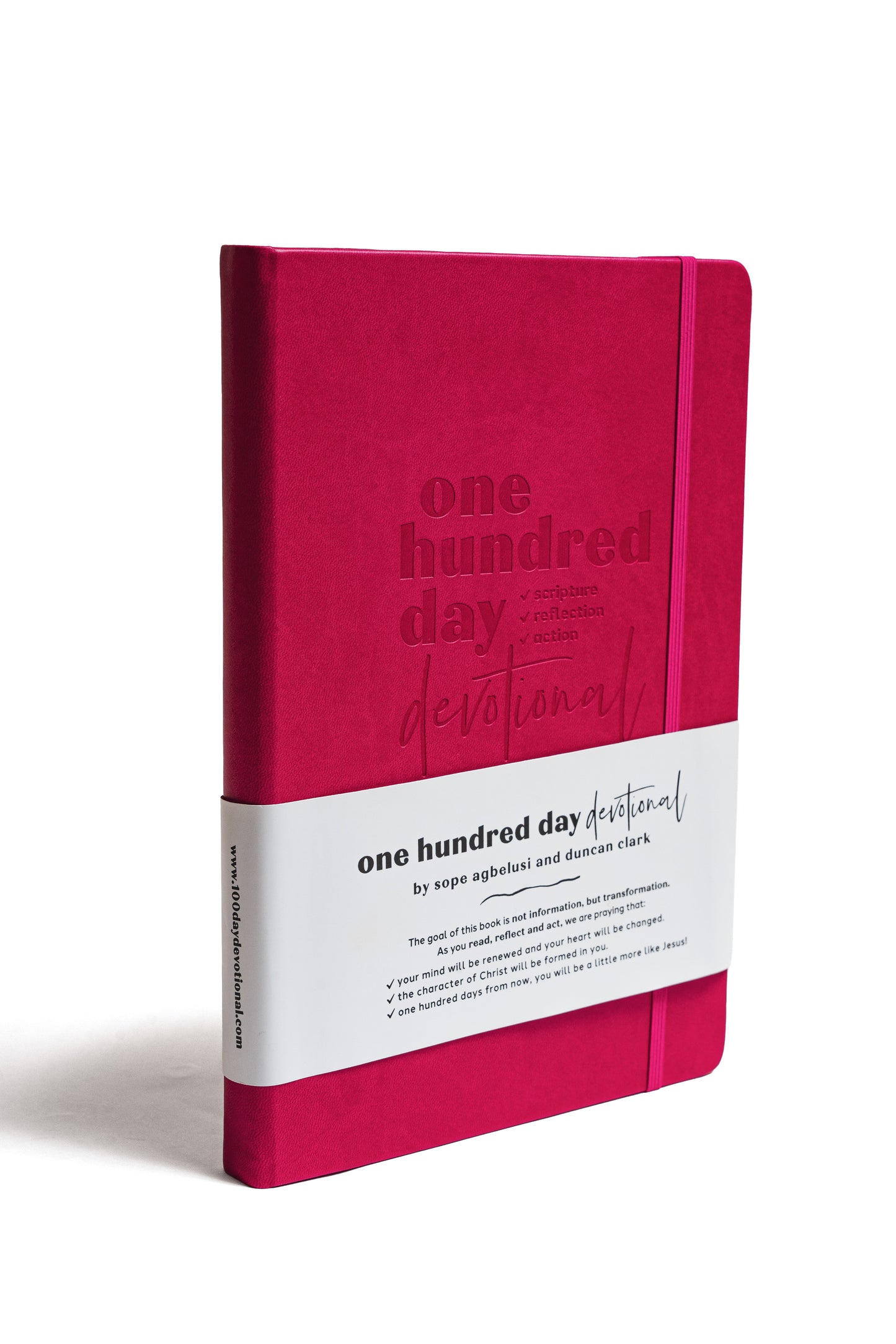 100 Day Devotional Journal